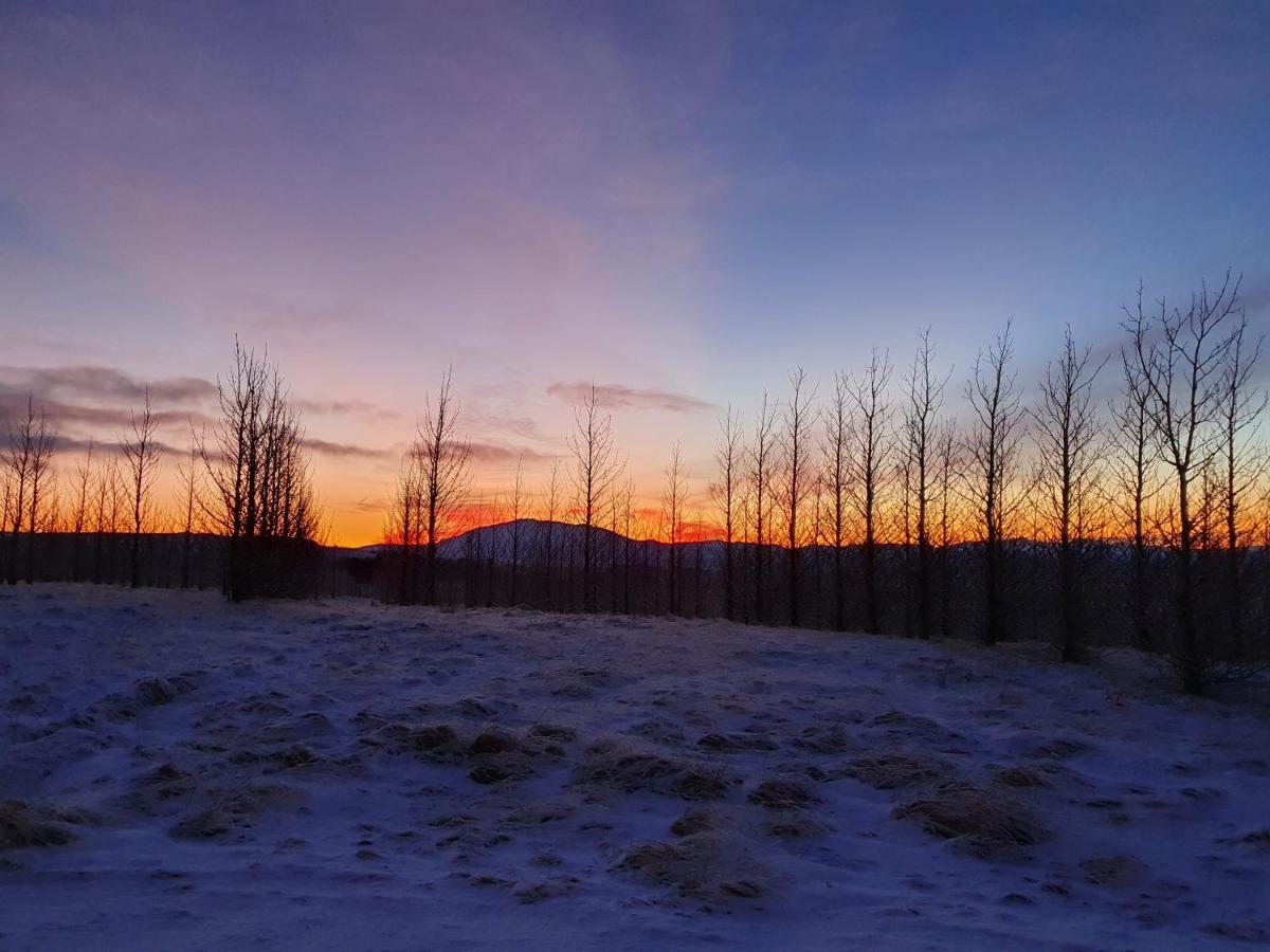 Kambar Villa Selfoss Dış mekan fotoğraf