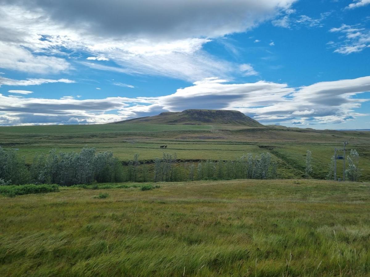 Kambar Villa Selfoss Dış mekan fotoğraf